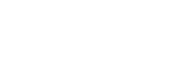 The CITIZEN Caliber 0200